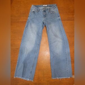 S.O.N.G Wide Leg Jeans | Light Blue Wash | Raw Hem